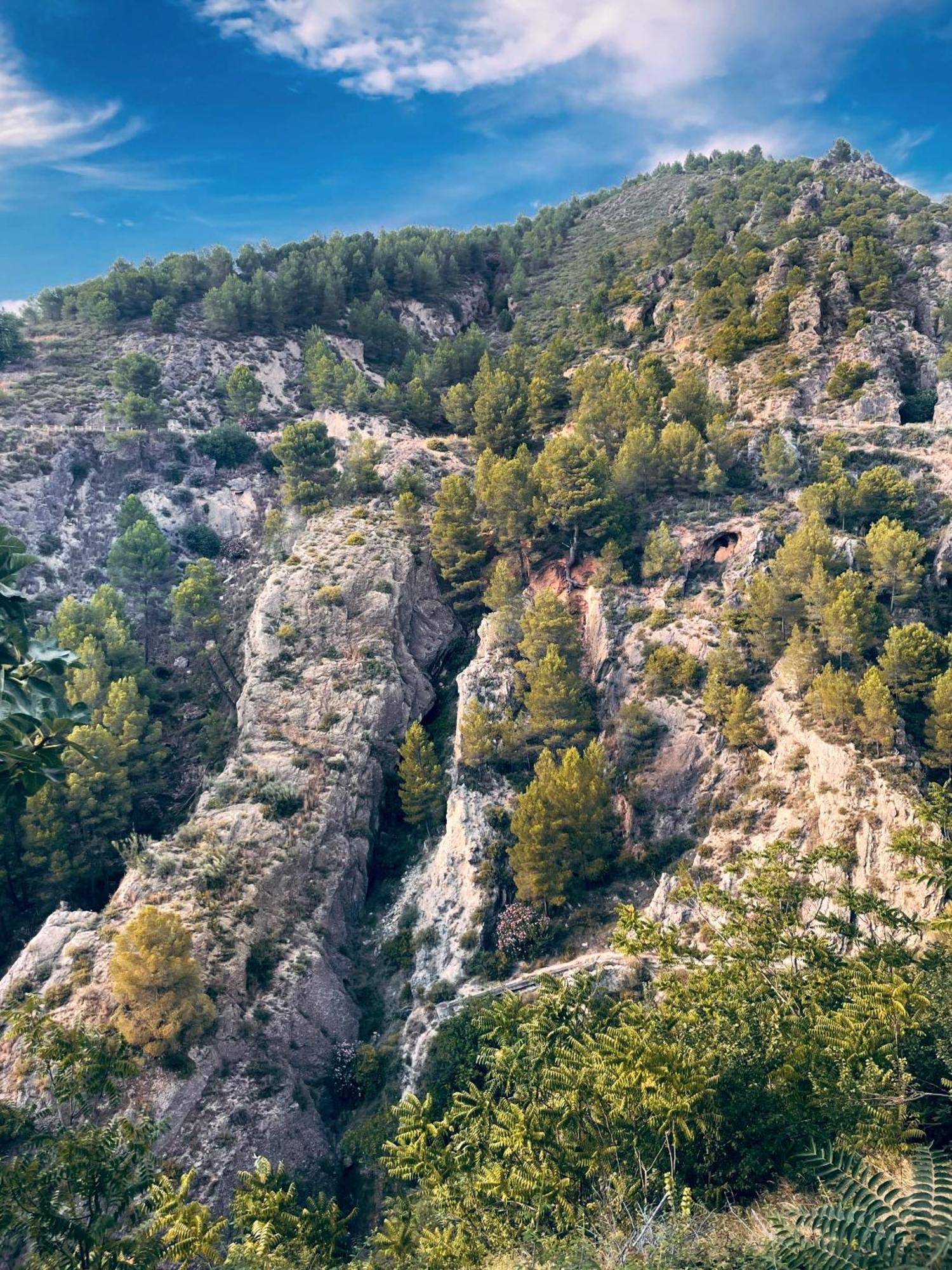 Ca Dioniso Planes